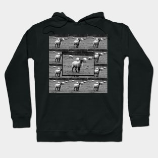 Sheep Hoodie